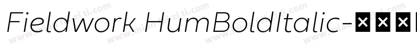 Fieldwork HumBoldItalic字体转换